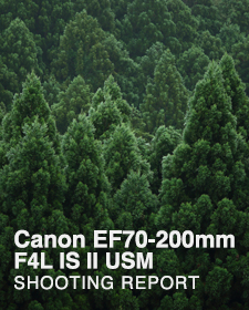 Canon EF70-200mm F4L IS II USM  SHOOTING REPORT