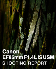 Canon EF85mm F1.4L IS USM  SHOOTING REPORT