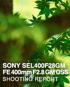 SONY SEl400F28GM FE 400mm F2.8 GM OSS  SHOOTING REPORT