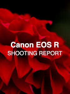 Canon EOS R  SHOOTING REPORT