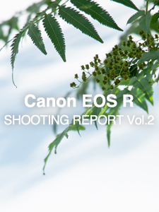 Canon EOS R  SHOOTING REPORT Vol.2