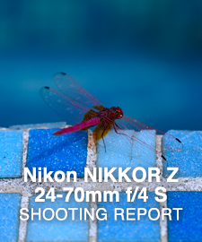 Nikon NIKKOR Z 24-70mm f/4 S  SHOOTING REPORT