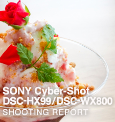 SONY Cyber-shot DSC-HX99 / DSC-WX800  SHOOTING REPORT