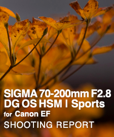 SIGMA 70-200mm F2.8 DG OS HSM | Sports for Canon EF  SHOOTING REPORT