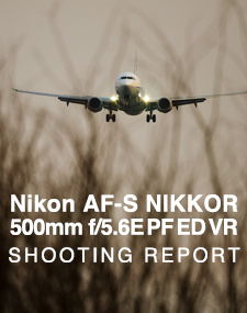 Nikon AF-S NIKKOR 500mm f/5.6E PF ED VR  SHOOTING REPORT