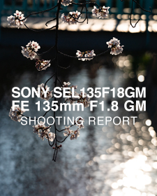 SONY SEL13518GM FE 135mm F1.8 GM  SHOOTING REPORT