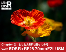 Chapter 2：とことんRFで撮ってみる vol.2 - EOS R + RF28-70mm F2 L USM