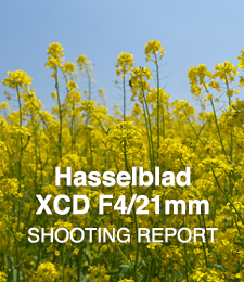 Hasselblad XCD F4/21mm  SHOOTING REPORT