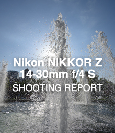 Nikon NIKKOR Z 14-30mm f/4 S  SHOOTING REPORT