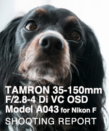 TAMRON 35-150mm F/2.8-4 Di VC OSD Model A043 for Nikon F  SHOOTING REPORT