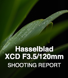 Hasselblad XCD F3.5/120mm  SHOOTING REPORT