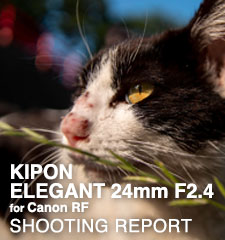 KIPON ELEGANT 24mm F2.4 for Canon RF  SHOOTING REPORT