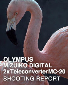 OLYMPUS M.ZUIKO DIGITAL 2x Teleconverter MC-20  SHOOTING REPORT