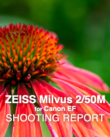 ZEISS Milvus 2/50M for Canon  SHOOTING REPORT