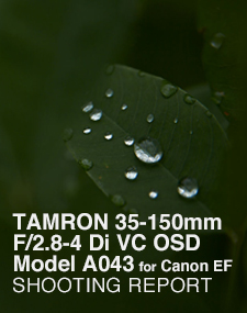 TAMRON 35-150mm F/2.8-4 Di VC OSD Model A043 for Canon EF  SHOOTING REPORT