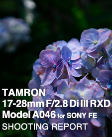 TAMRON 17-28mm F/2.8 Di III RXD Model A046 for SONYFE  SHOOTING REPORT