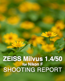 Carl Zeiss Milvus 1.4/50 for Nikon F  SHOOTING REPORT