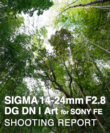 SIGMA 14-24mm F2.8 DG DN | Art for SONY FE  SHOOTING REPORT