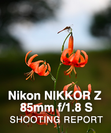 Nikon NIKKOR Z 85mm f/1.8 S  SHOOTING REPORT