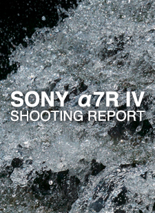 SONY α7R IV  SHOOTING REPORT
