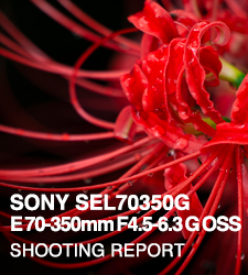 SONY SEL70350G E 70-350mm F4.5-6.3 G OSS  SHOOTING REPORT