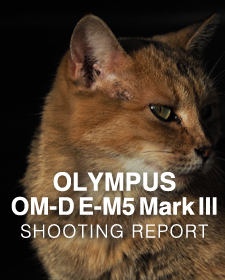 OLYMPUS OM-D E-M5 Mark III  SHOOTING REPORT