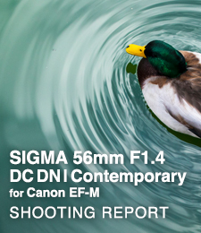 SIGMA 56mm F1.4 DG DN | Contemporary for Canon EF-M  SHOOTING REPORT