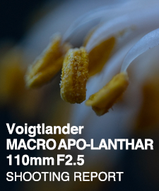 Voigtlander APO-LANTHAR 1100mm F2.5 for SONY FE  SHOOTING REPORT