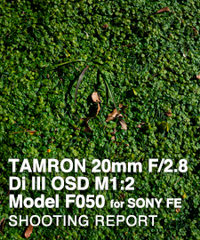 TAMRON 20mm F/2.8 Di III OSD M1:2 Model F050 for SONY FE  SHOOTING REPORT