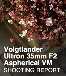 Voigtlander Ultron 35mm F2 Aspherical VM  SHOOTING REPORT