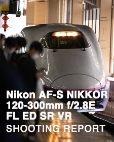 Nikon AF-S NIKKOR 120-300mm f/2.8E FL ED SR VR  SHOOTING REPORT