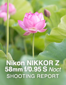 Nikon NIKKOR Z 58mm f/0.95 S Noct  SHOOTING REPORT