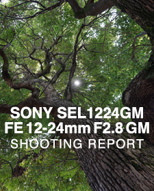 SONY SEL1224GM FE 12-24mm F2.8 GM  SHOOTING REPORT