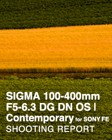 SIGMA 100-400mm F5-6.3 DG DN OS | Contemporary for SONY FE  SHOOTING REPORT