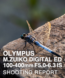 OLYMPUS M.ZUIKO DIGITAL ED 100-400mm F5.0-6.3 IS  SHOOTING REPORT