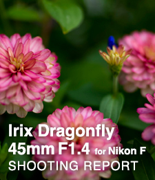 Irix Dragonfly 45mm F1.4 for Nikon F  SHOOTING REPORT