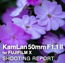 KamLan 50mm F1.1 II for FUJIFILM X  SHOOTING REPORT