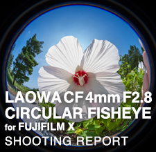 LAOWA CF 4mm F2.8 CIRCULAR FISHEYE for FUJIFILM X  SHOOTING REPORT