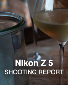 Nikon Z 5  SHOOTING REPORT
