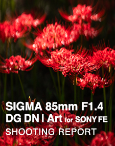 SIGMA 85mm F1.4 DG DN | Art for SONY FE  SHOOTING REPORT