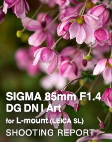 SIGMA 85mm F1.4 DG DN | Art on LEICA L  SHOOTING REPORT