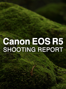 Canon EOS R5  SHOOTING REPORT