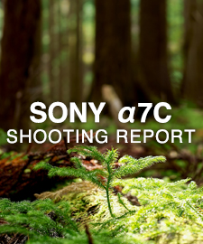 SONY α7C  SHOOTING REPORT