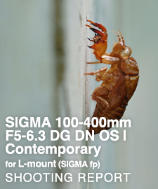 SIGMA 100-400mm F5-6.3 DG DN OS | Contemporary on SIGMA fp  SHOOTING REPORT