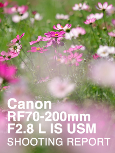 Canon RF70-200mm F2.8 L IS USM  SHOOTING REPORT