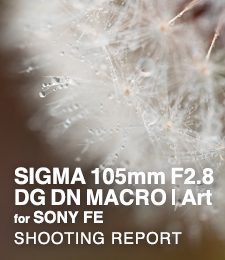 SIGMA 105mm F2.8 DG DN MACRO | Art for SONY FE  SHOOTING REPORT