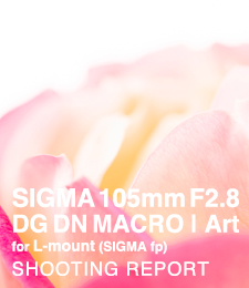 SIGMA 105mm F2.8 DG DN MACRO | Art on SIGMA fp  SHOOTING REPORT