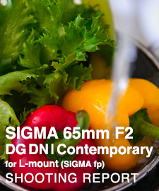 SIGMA 65mm F2 DG DN | Contemporary on SIGMA fp  SHOOTING REPORT