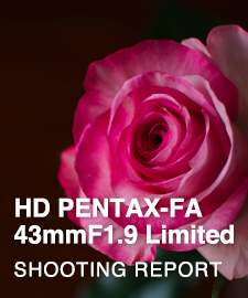 HD PENTAX-FA 43mmF1.9 Limited  SHOOTING REPORT