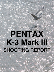 PENTAX K-3 Mark III   SHOOTING REPORT